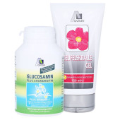 Avitale Glucosamin 750 mg + Chondroitin 100 mg + gratis Teufelskrallen Gel (PZN 6705291)