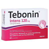 Tebonin intens 120mg (PZN 7682356)