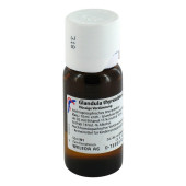 GLANDULA THYREOIDEA D 6 Dilution (PZN 2594133)