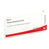 THYMUS GLANDULA GL D 30 Ampullen (PZN 3353986)