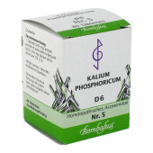 BIOCHEMIE 5 Kalium phosphoricum D 6 Tabletten (PZN 4325271)