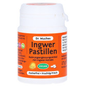 Dr. Muches Ingwer Pastillen zuckerfrei (PZN 11348278)