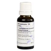 IRIS VERSICOLOR D 6 Dilution (PZN 529203)