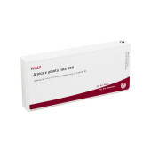 ARNICA E Planta tota D 30 Ampullen (PZN 2832667)