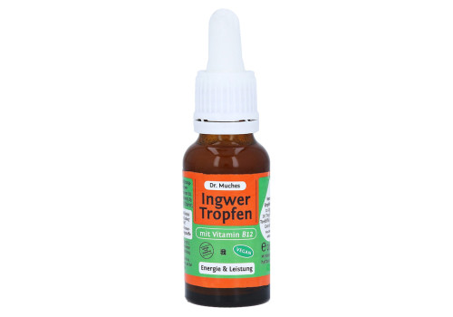 INGWERTROPFEN+Vitamin B12 Dr.Muches – PZN 14291107 (PZN 14291107)