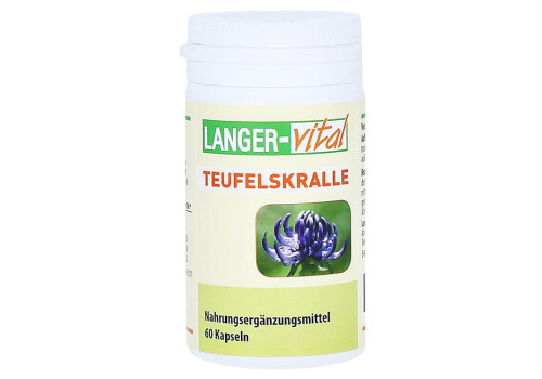 TEUFELSKRALLE 250 mg+Vitamin C+Zink+Selen Kapseln – PZN 8924011 (PZN 8924011)