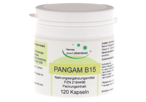 PANGAM Vitamin B15 Kapseln – PZN 2164496 (PZN 2164496)