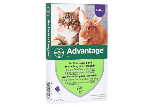 ADVANTAGE 80 mg Lösung große Katzen/Zierkaninchen – PZN 9670104 (PZN 9670104)