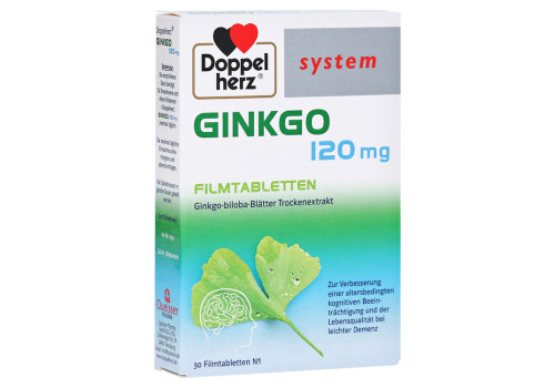 Doppelherz Ginkgo 120mg system – PZN 10963231 (PZN 10963231)