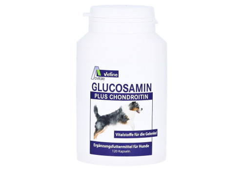 Avitale Glucosamin + Chondroitin für Hunde – PZN 3025791 (PZN 3025791)