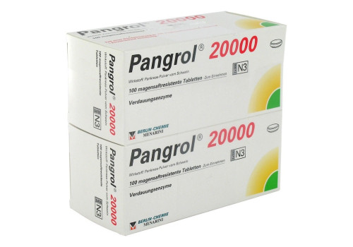 Pangrol 20000 – PZN 6160561 (PZN 6160561)