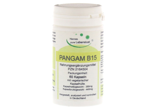 PANGAM Vitamin B15 Kapseln – PZN 2164504 (PZN 2164504)