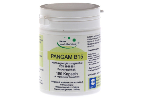 PANGAM Vitamin B15 Vegi Kapseln – PZN 3868561 (PZN 3868561)