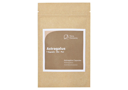 Terra Elements Bio Astragalus Kapseln 400 mg – PZN 80000917 (PZN 80000917)