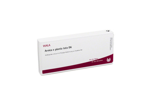 ARNICA E Planta tota D 6 Ampullen – PZN 2830415 (PZN 2830415)