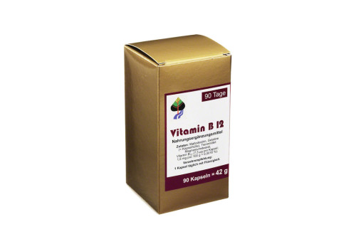 VITAMIN B12 90 Tage Kapseln – PZN 6432798 (PZN 6432798)