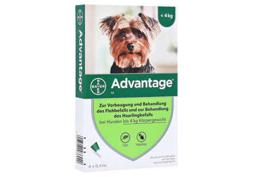 ADVANTAGE 40 mg Lösung Hunde bis 4 kg – PZN 8613305 (PZN 8613305)